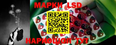 гашик Малгобек