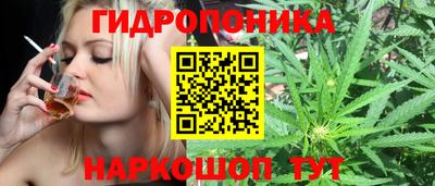 гашик Малгобек