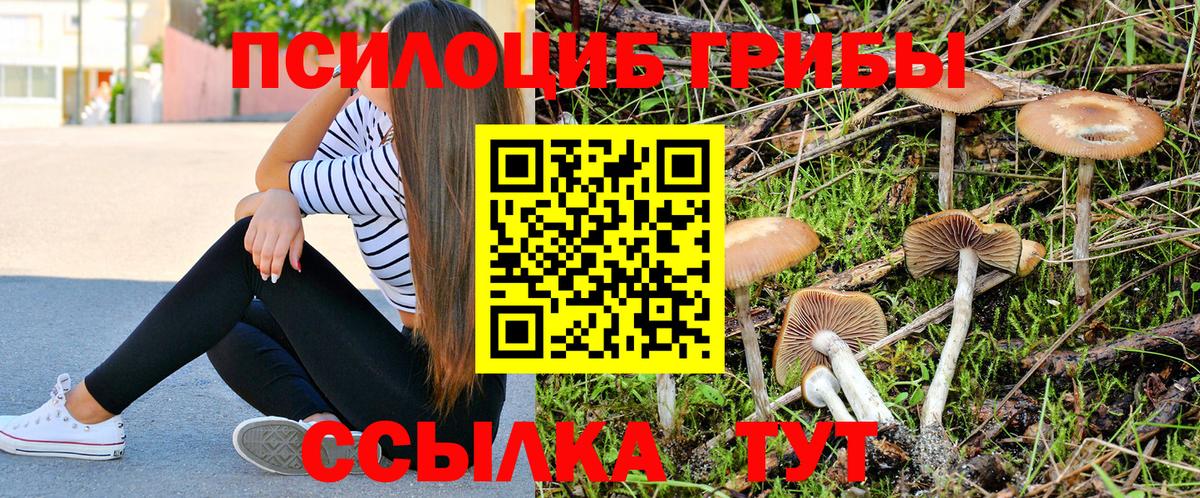 Ставрополь  Галлюциногенные грибы мицелий  Вход с VPN 